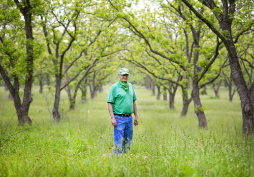 Government Subsidies and Programs for Orchard Owners in Dripping Springs, Texas